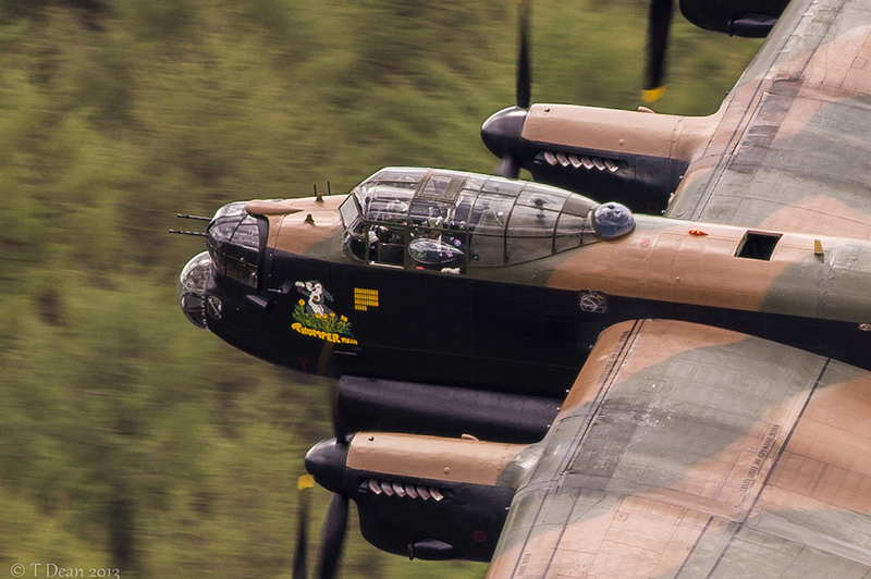 Illustration for article titled Amazing close-up photos capture war planes and birds' majesty in motion